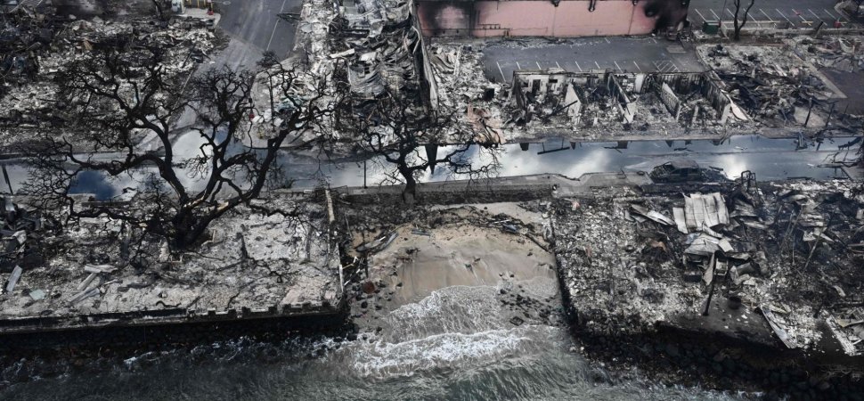 Locals Lead Lahaina’s Recovery Efforts A Year After the Fires