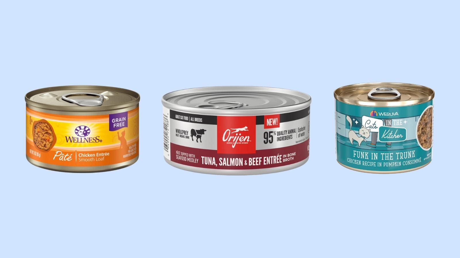 Best Wet Cat Foods 2024
